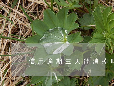 信用逾期三天能消掉吗 信用逾期三天能消掉吗