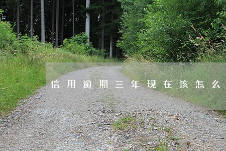 信用逾期三年现在该怎么办 信用逾期三年现在该怎么办