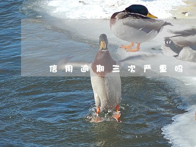 信用逾期三次严重吗 信用逾期三次严重吗