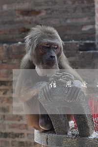 信用逾期三次可以贷款吗 信用逾期三次可以贷款吗