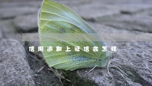 信用逾期上征信会怎样 信用逾期上征信会怎样