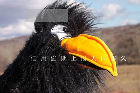 信用逾期上报人行多久