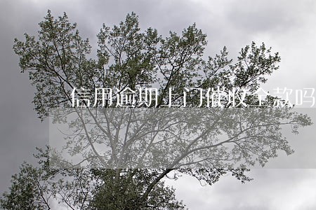 信用逾期上门催收全款吗 信用逾期上门催收全款吗
