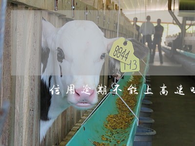 信用逾期不能上高速吗 信用逾期不能上高速吗