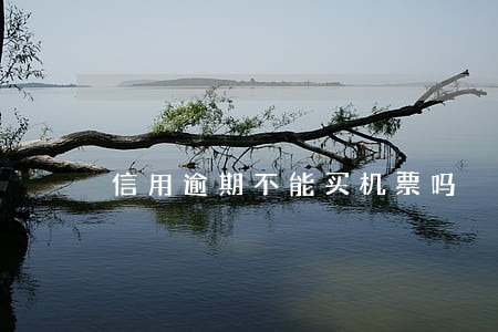 信用逾期不能买机票吗 信用逾期不能买机票吗