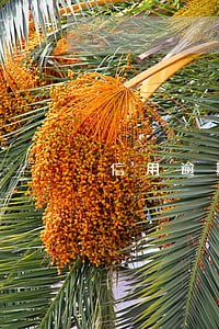 信用逾期不还款 信用逾期不还款