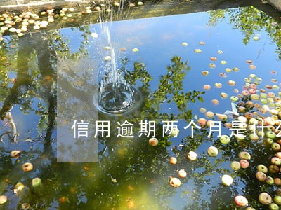 信用逾期两个月是什么意思 信用逾期两个月是什么意思