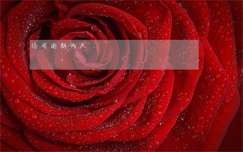 信用逾期两天 信用逾期两天