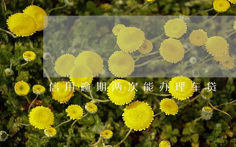 信用逾期两次能办理车贷 信用逾期两次能办理车贷