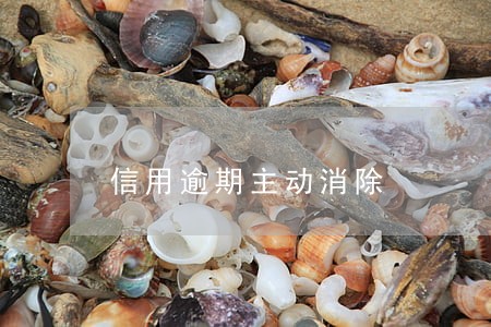 信用逾期主动消除 信用逾期主动消除