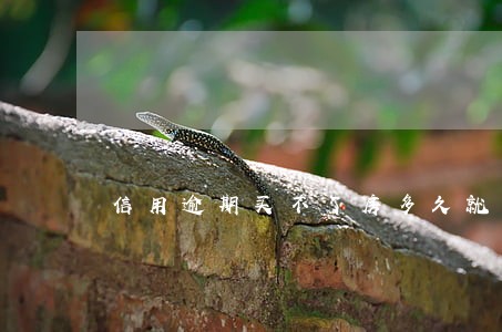 信用逾期买不了房多久就可以 信用逾期买不了房多久就可以