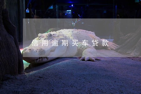 信用逾期买车贷款 信用逾期买车贷款