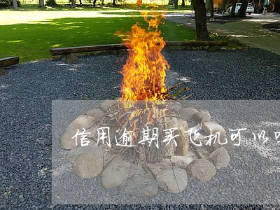 信用逾期买飞机可以吗