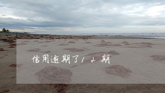 信用逾期了12期