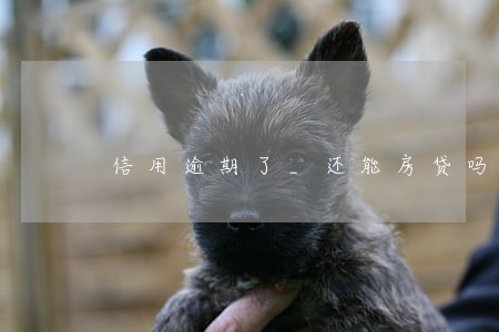 信用逾期了_还能房贷吗 信用逾期了_还能房贷吗