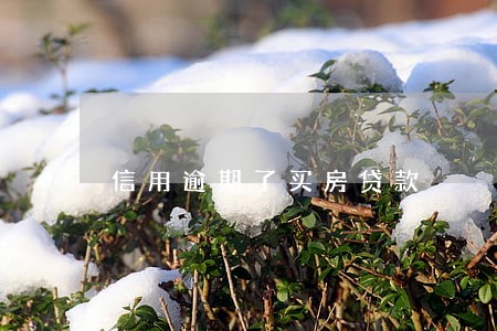 信用逾期了买房贷款 信用逾期了买房贷款