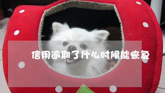信用逾期了什么时候能恢复 信用逾期了什么时候能恢复