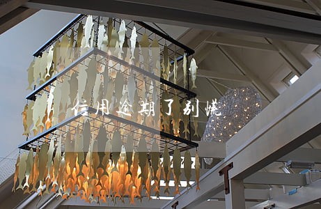 信用逾期了别慌 信用逾期了别慌