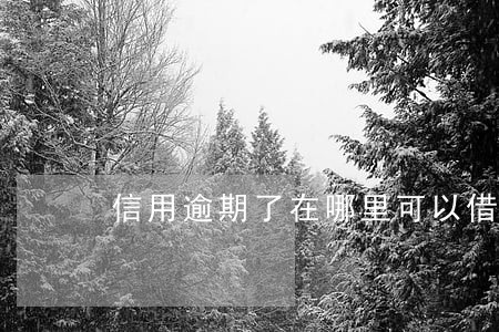信用逾期了在哪里可以借钱 信用逾期了在哪里可以借钱
