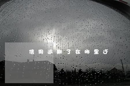 信用逾期了在哪里还 信用逾期了在哪里还