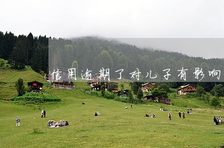 信用逾期了对儿子有影响吗 信用逾期了对儿子有影响吗