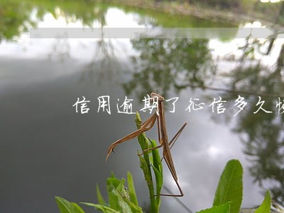 信用逾期了征信多久恢复