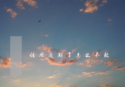 信用逾期了怎么不救 信用逾期了怎么不救