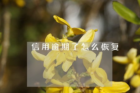 信用逾期了怎么恢复 信用逾期了怎么恢复