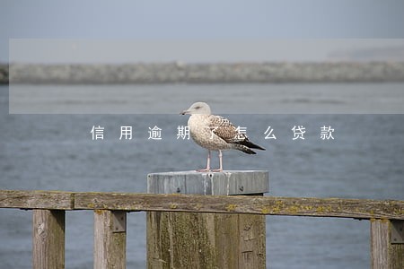 信用逾期了怎么贷款 信用逾期了怎么贷款