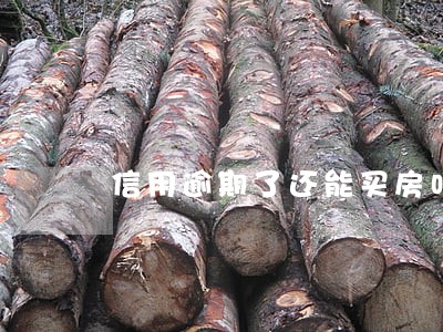 信用逾期了还能买房吗 信用逾期了还能买房吗