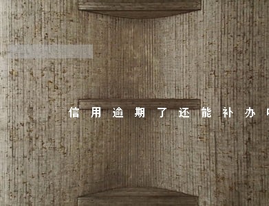 信用逾期了还能补办嘛 信用逾期了还能补办嘛