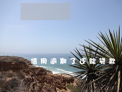 信用逾期了还能贷款 信用逾期了还能贷款