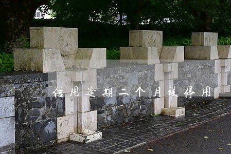 信用逾期二个月被停用 信用逾期二个月被停用