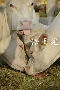 信用逾期二次协商 信用逾期二次协商