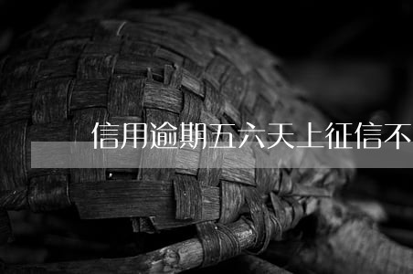 信用逾期五六天上征信不 信用逾期五六天上征信不