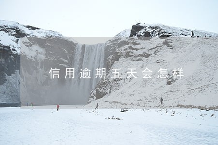 信用逾期五天会怎样 信用逾期五天会怎样