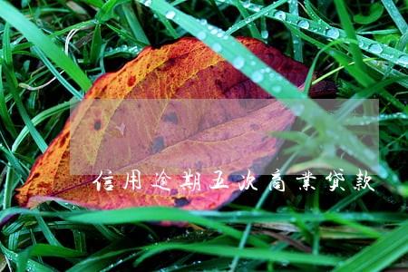 信用逾期五次商业贷款