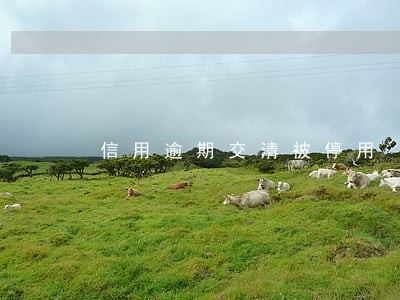 信用逾期交清被停用 信用逾期交清被停用
