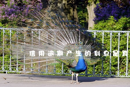 信用逾期产生的利息是真的吗