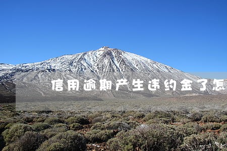 信用逾期产生违约金了怎么办 信用逾期产生违约金了怎么办