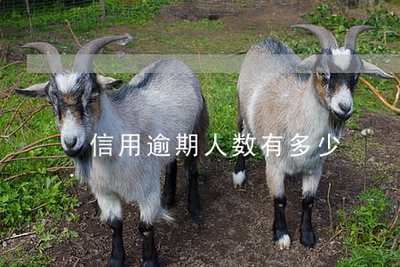 信用逾期人数有多少 信用逾期人数有多少