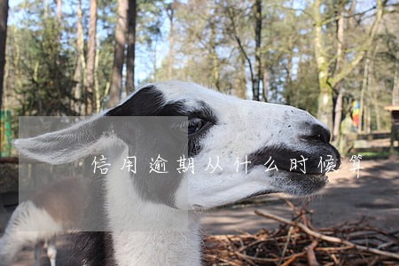 信用逾期从什么时候算 信用逾期从什么时候算