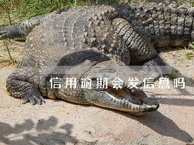 信用逾期会发信息吗 信用逾期会发信息吗