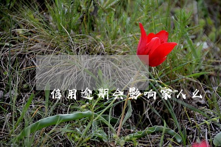 信用逾期会影响家人么 信用逾期会影响家人么