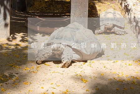 信用逾期会影响离婚协议内容吗 信用逾期会影响离婚协议内容吗