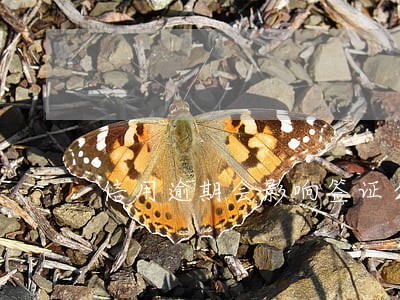 信用逾期会影响签证么 信用逾期会影响签证么
