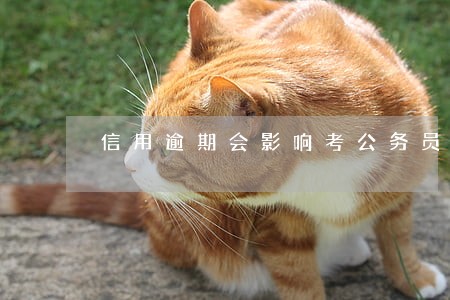 信用逾期会影响考公务员吗 信用逾期会影响考公务员吗
