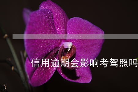 信用逾期会影响考驾照吗