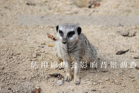 信用逾期会影响背景调查吗 信用逾期会影响背景调查吗