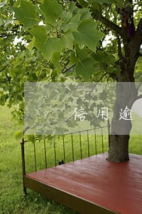 信用逾期会怎么体现的 信用逾期会怎么体现的